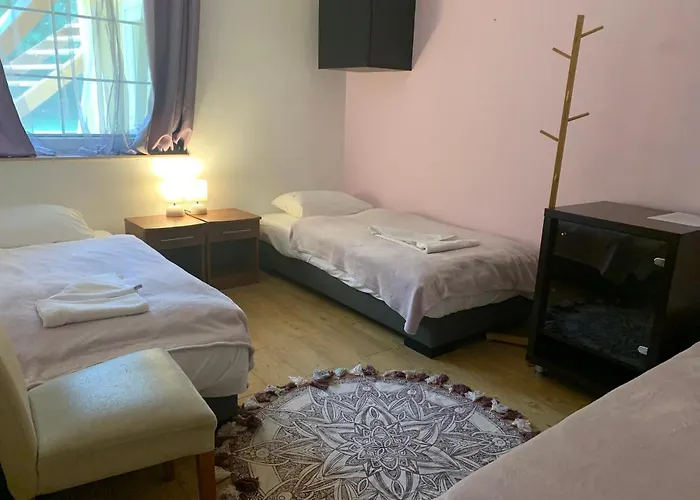 Lelek-ter שיופוק